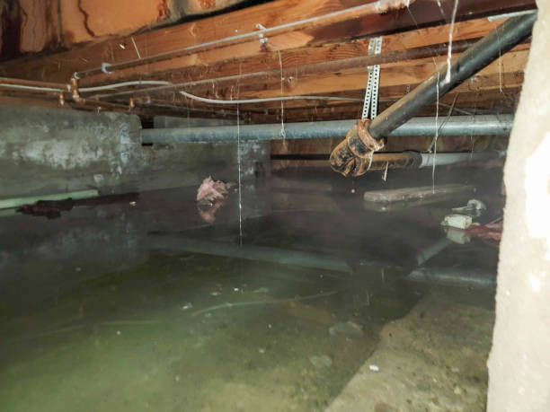 Best Basement water damage restoration  in Arlington, TX