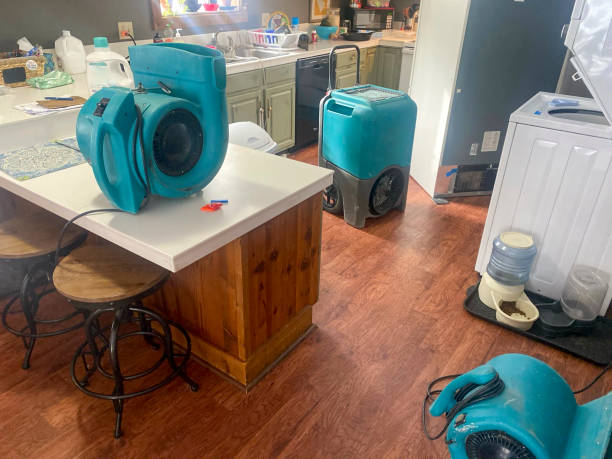 Best Water damage restoration near me  in Arlington, TX
