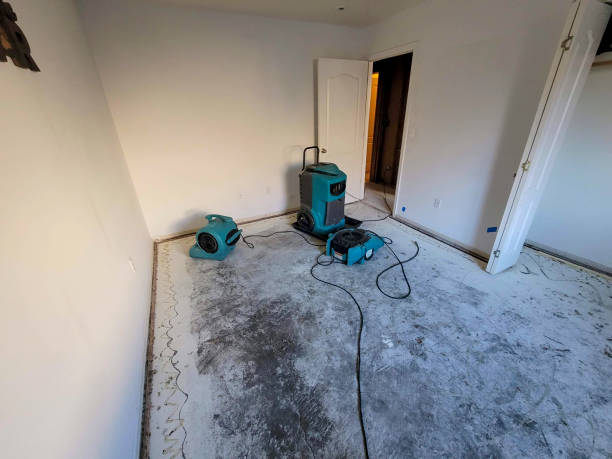 Best Fire Damage Restoration  in Arlington, TX
