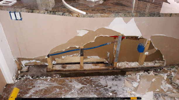 Best Mold removal after water damage  in Arlington, TX
