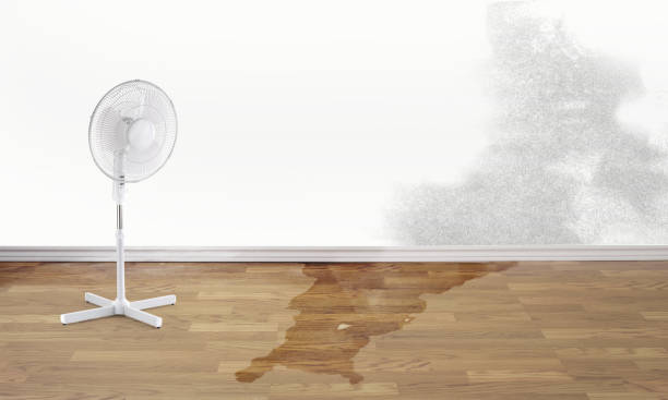 Best Sewage cleanup and water damage restoration  in Arlington, TX