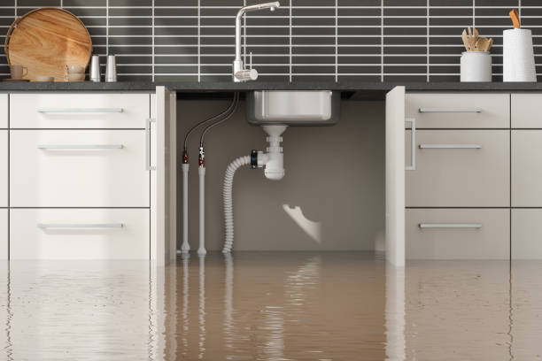 Best Water damage repair service  in Arlington, TX